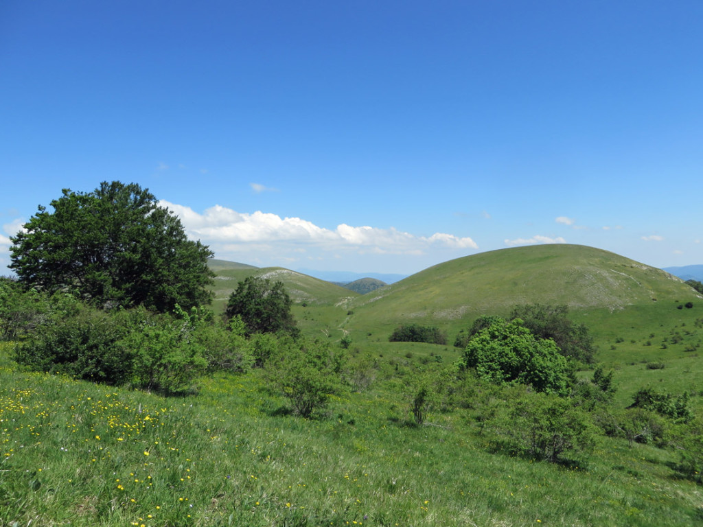 col di mezzo