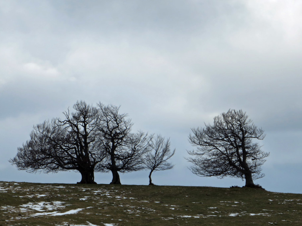 MONTECAVALLO-13-12-2014-152