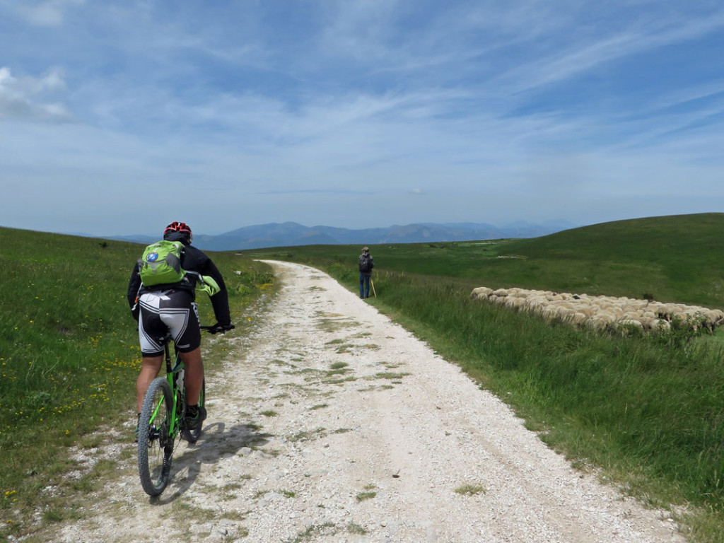 VAL-FIBBIA-10-06-17-363