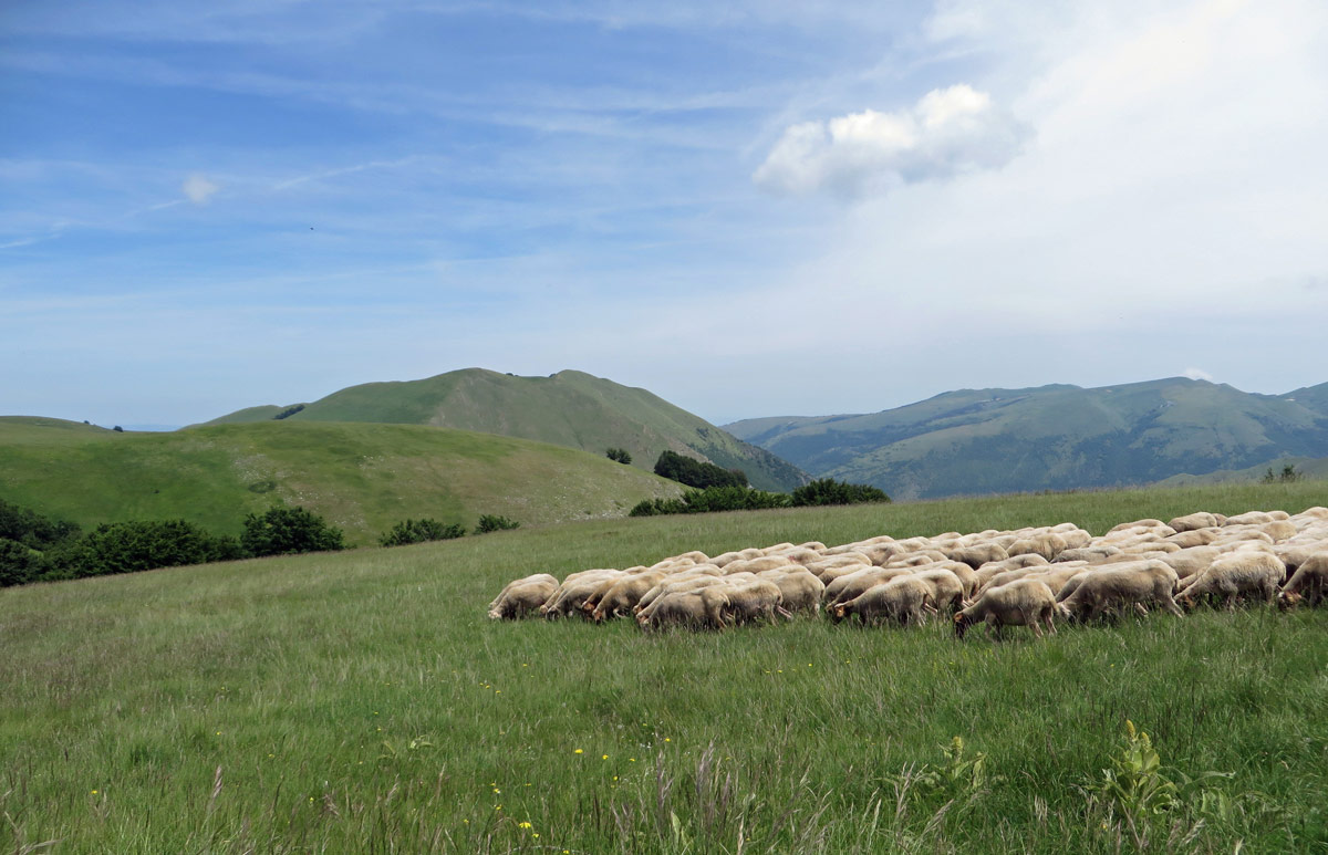VAL-FIBBIA-10-06-17-366