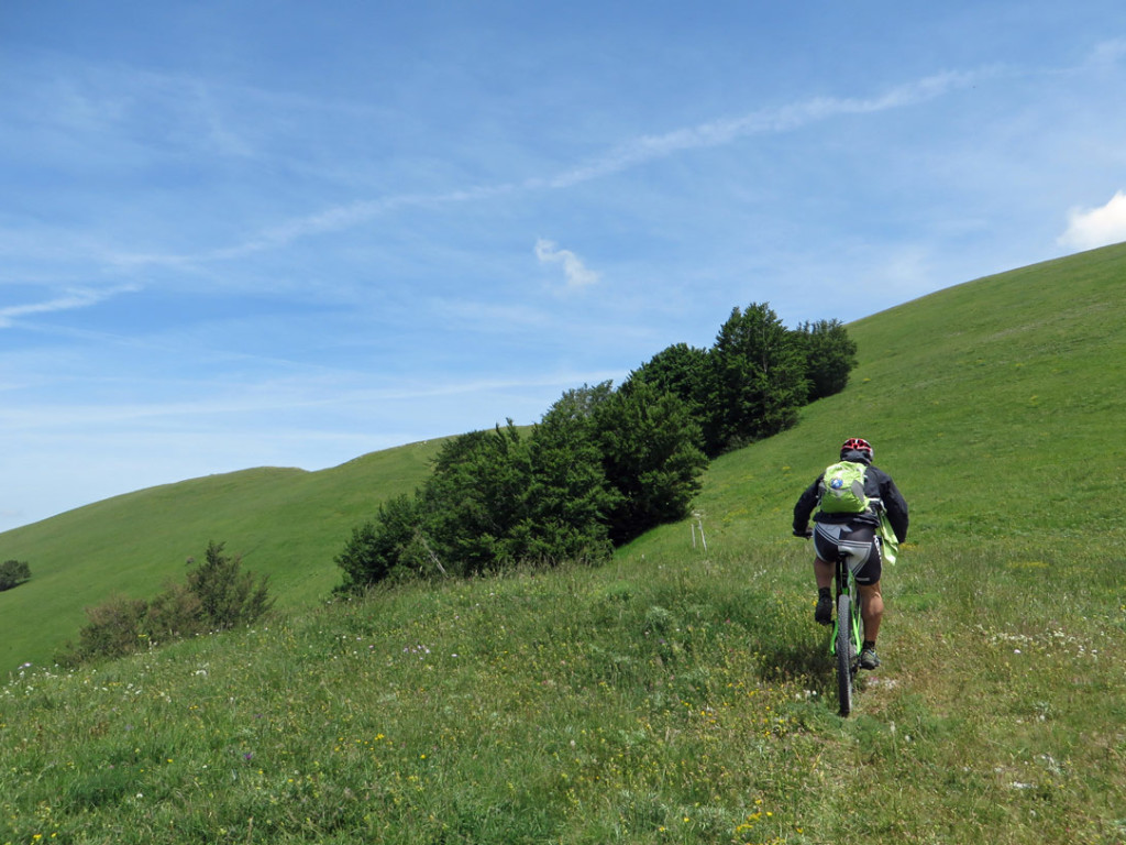 VAL-FIBBIA-10-06-17-378