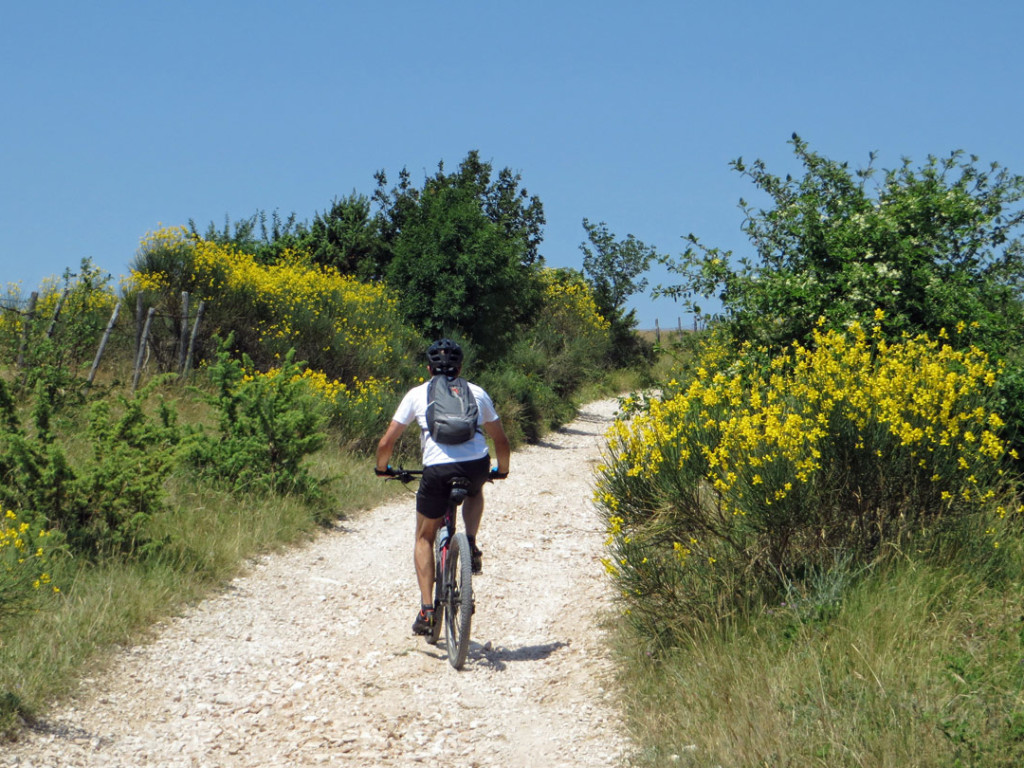 VALLEELCE-25-06-17-15