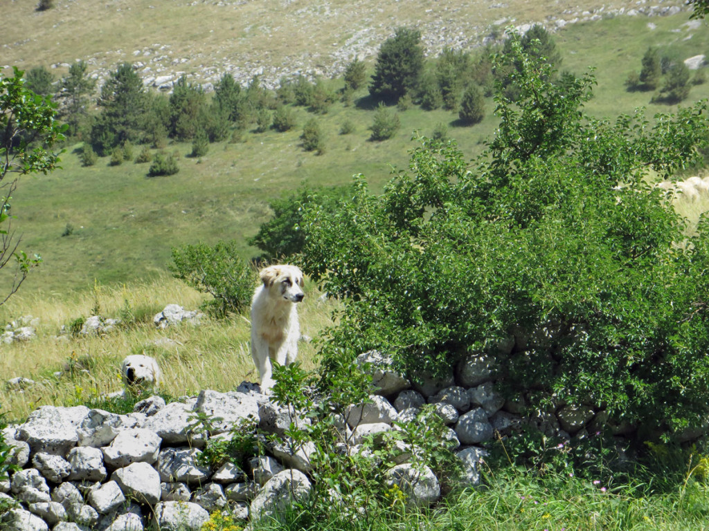rocca-calascio-156
