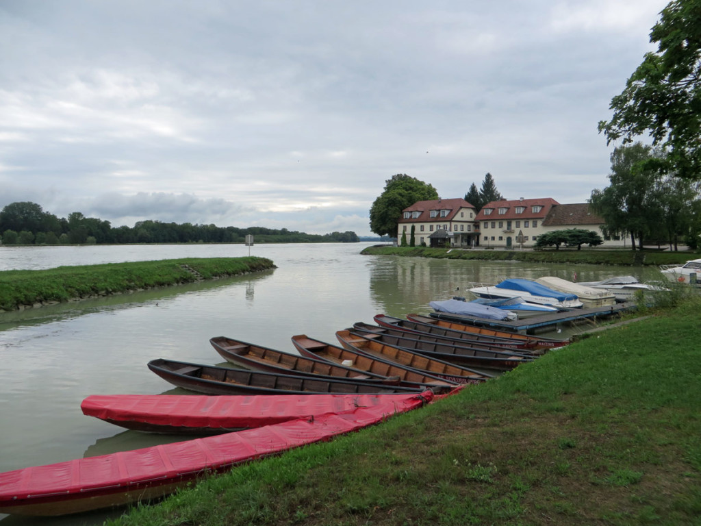 DANUBIO-08-2017-835