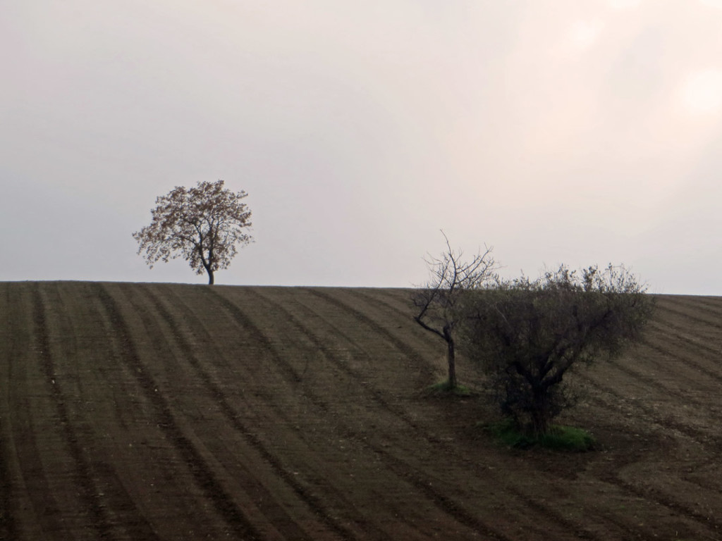 abbadia-fiastra-911