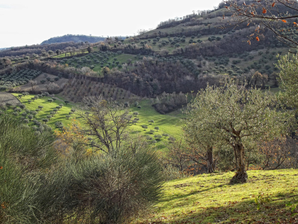 FIEGNI-29-12-2013-050