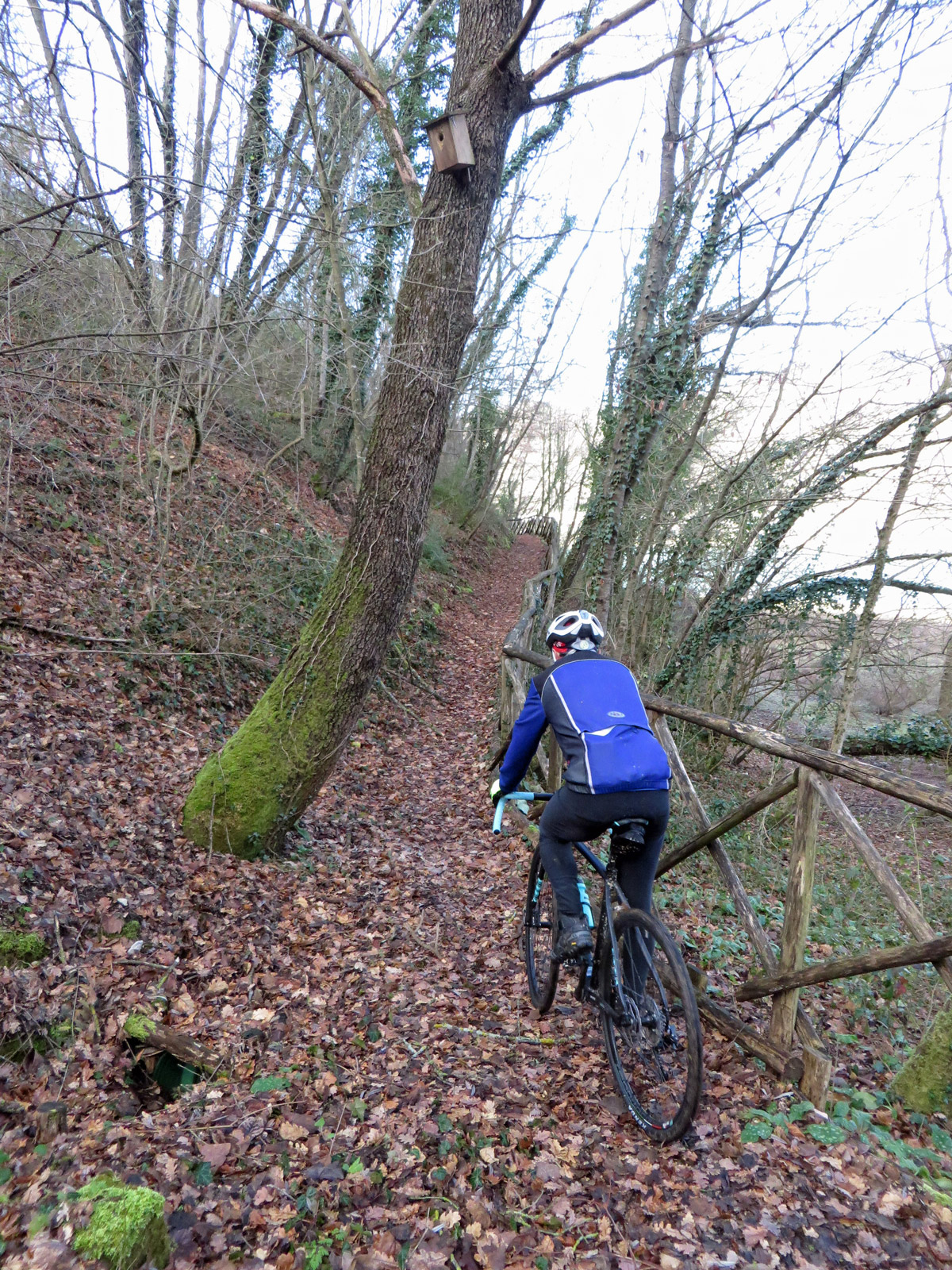 VAL-DI-CHIENTI-20-01-18-244