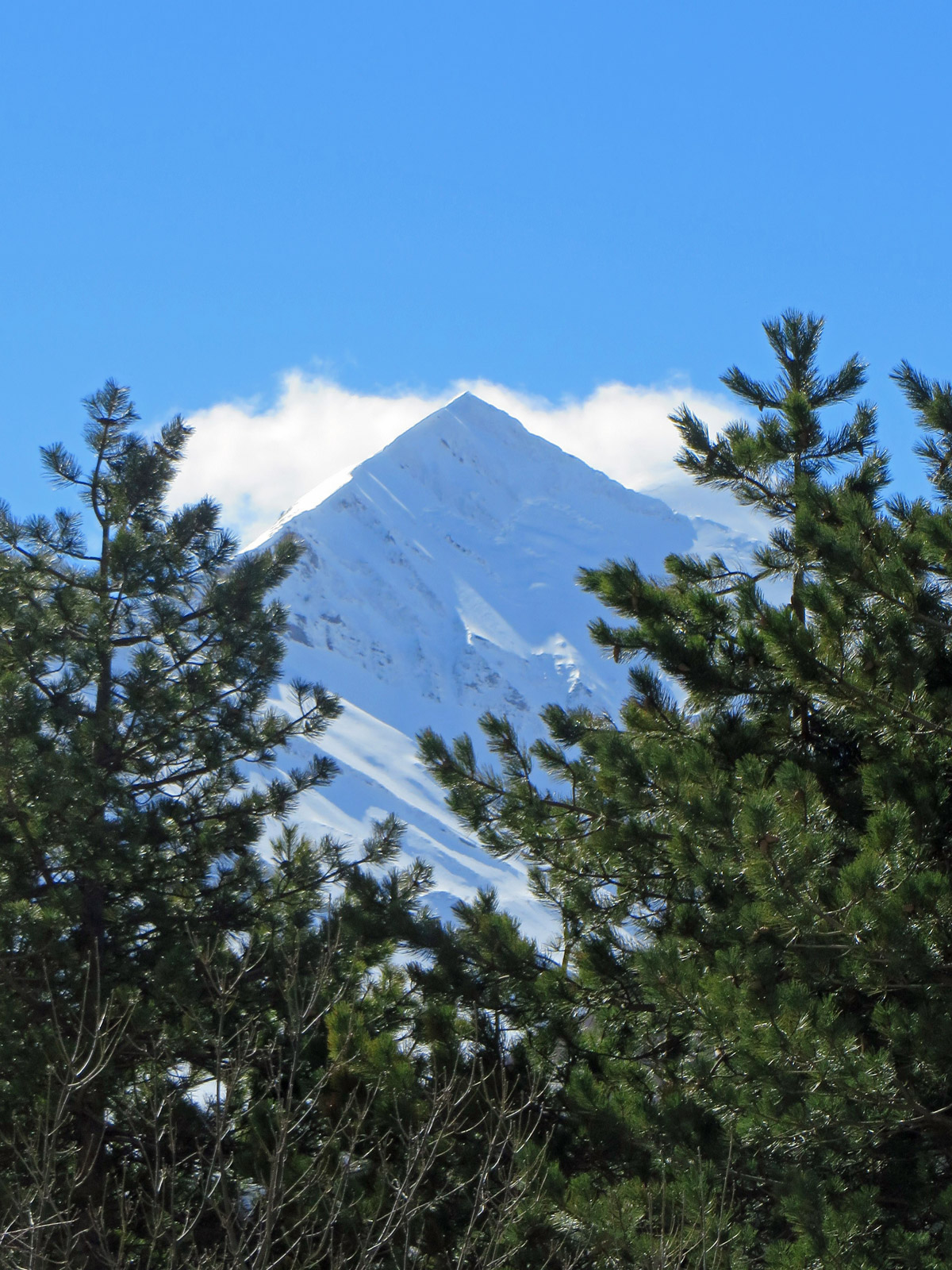 BOLOGNOLA-10-03-2018-240