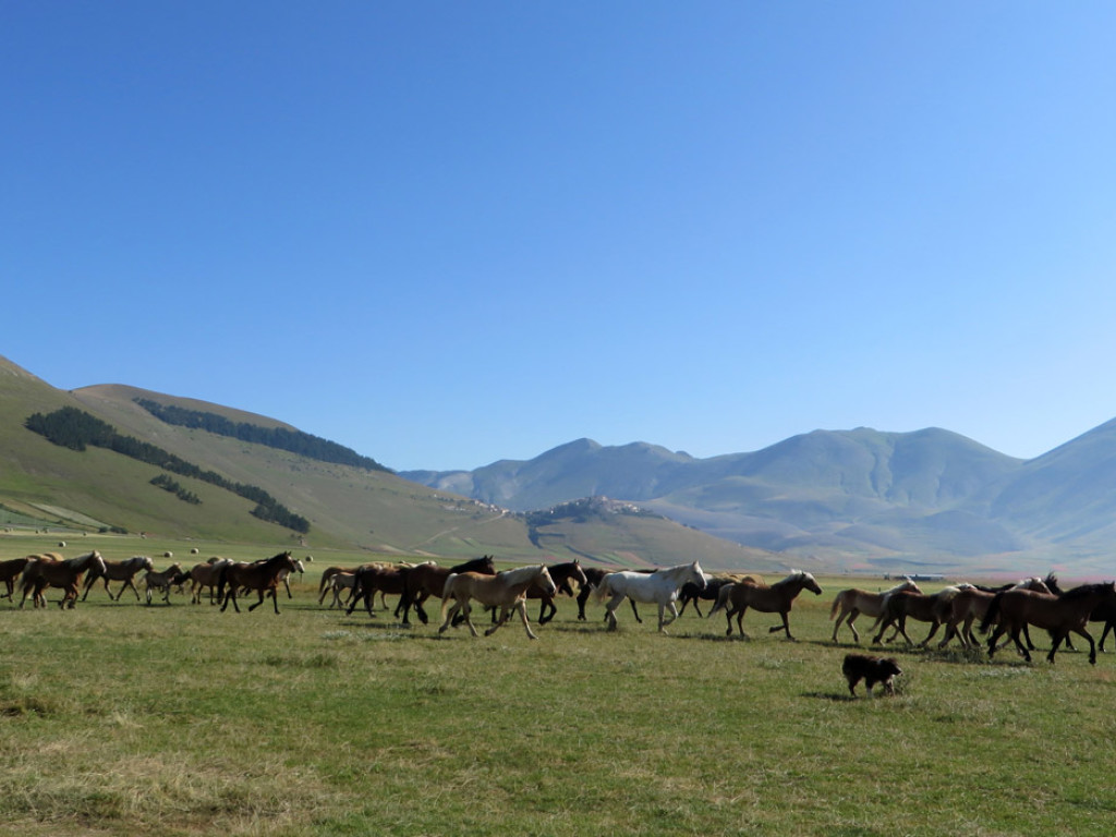 castelluccio-14-07-2018-035