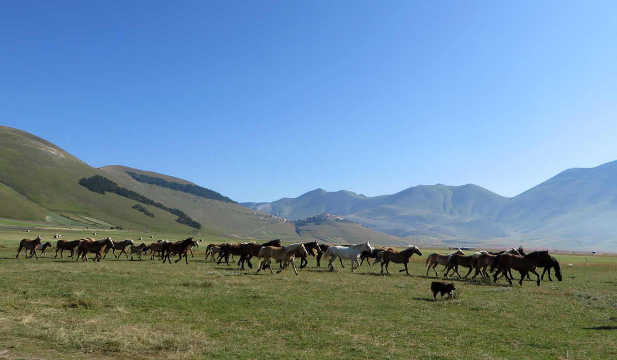 castelluccio-14-07-2018-035