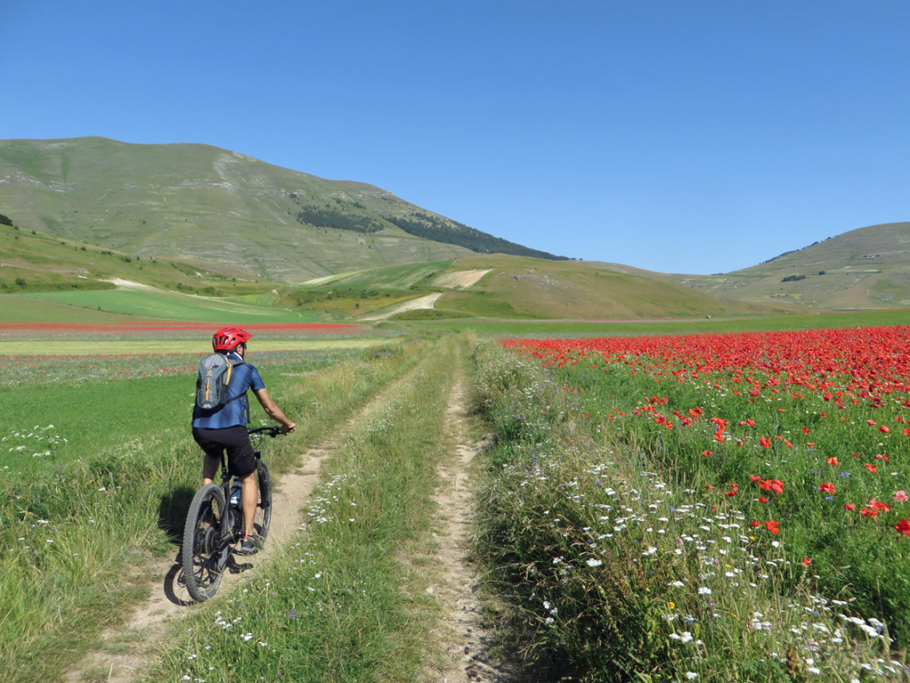 castelluccio-14-07-2018-145