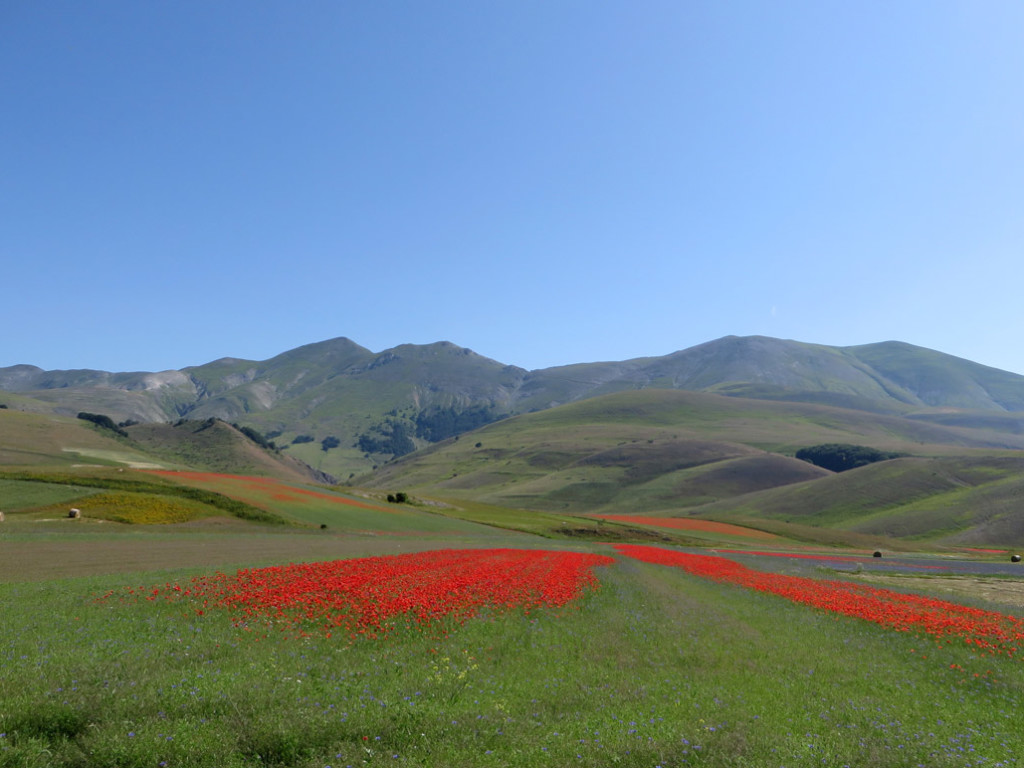 castelluccio-14-07-2018-181