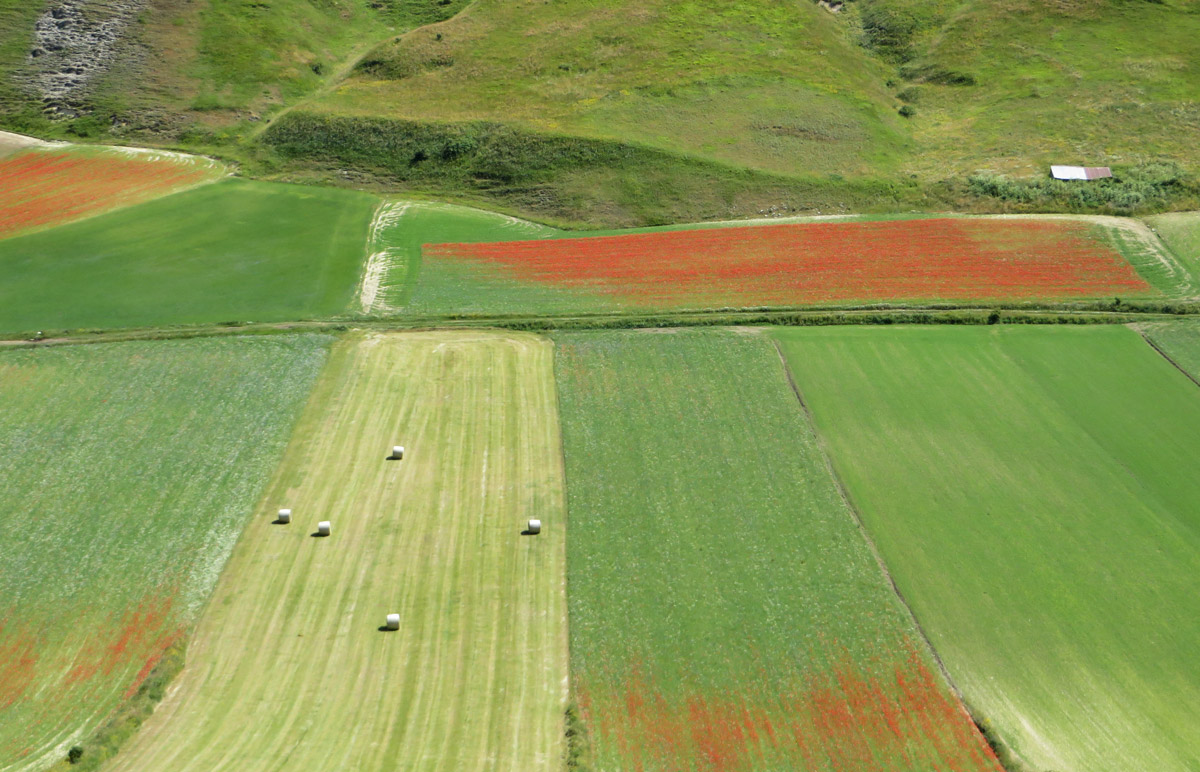 castelluccio-14-07-2018-228