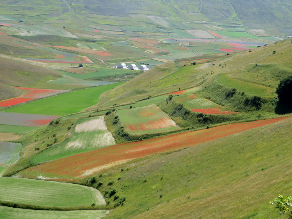 castelluccio-14-07-2018-233