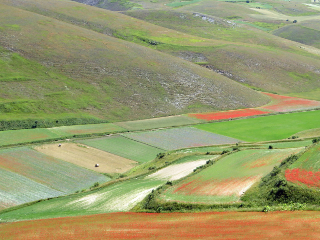 castelluccio-14-07-2018-239