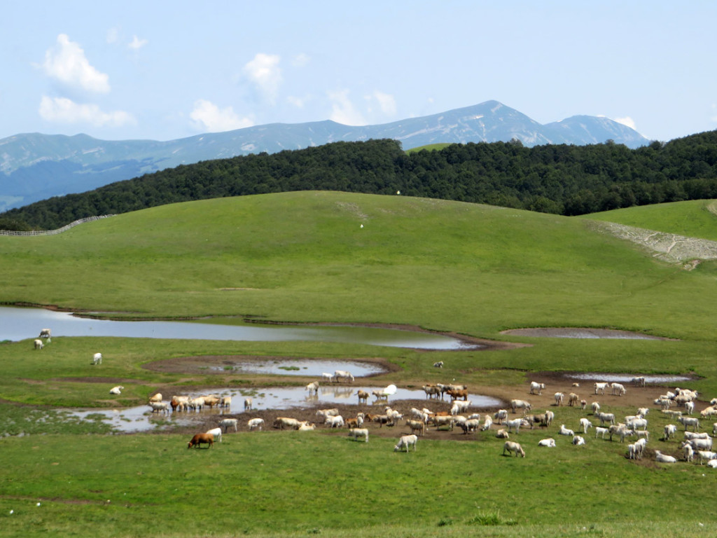 castelluccio-14-07-2018-432