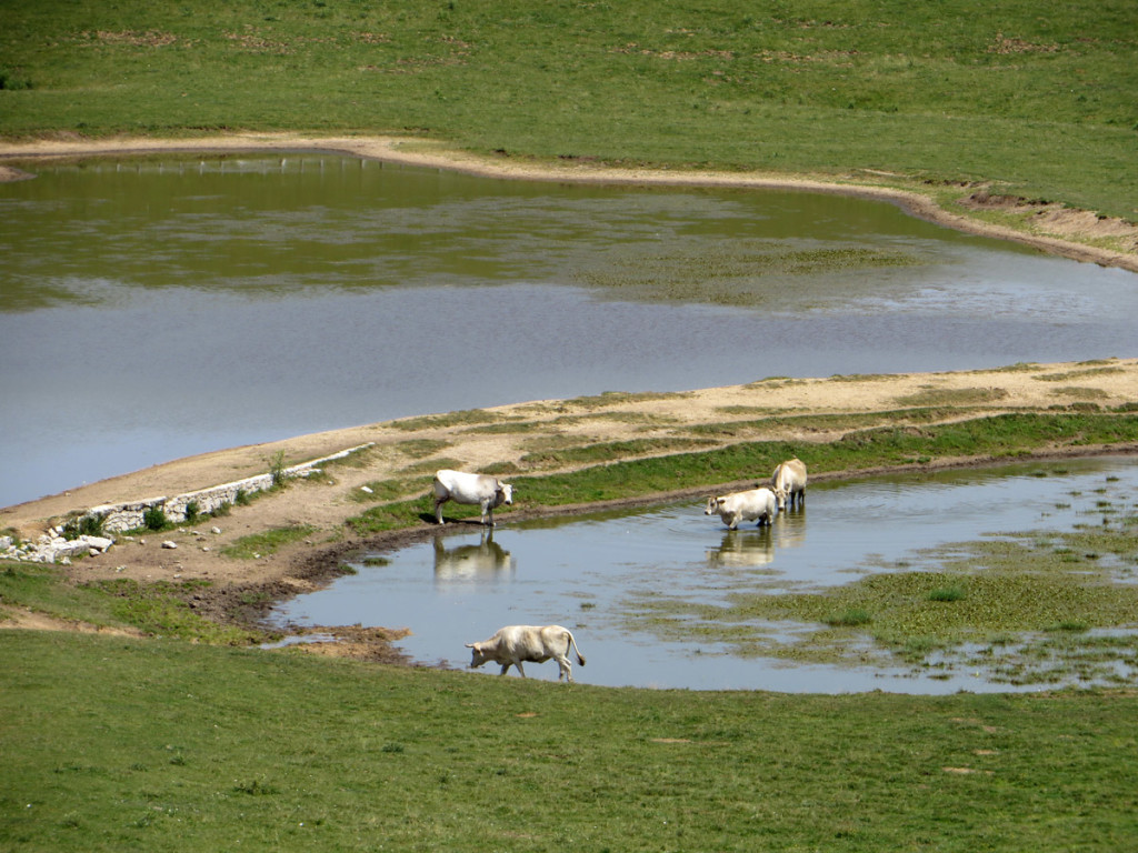 castelluccio-14-07-2018-451