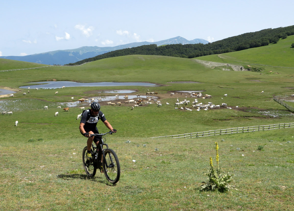 castelluccio-14-07-2018-456