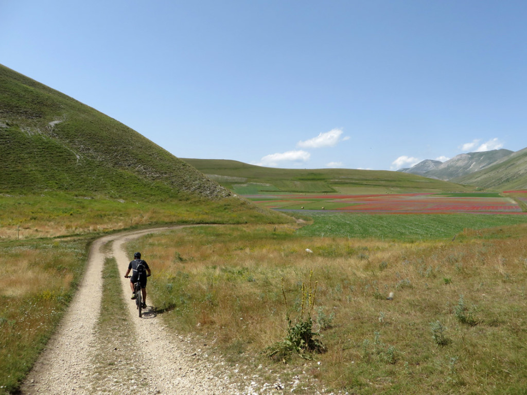 castelluccio-14-07-2018-521