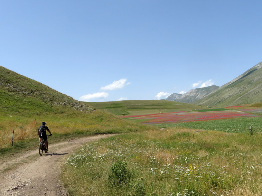 castelluccio-14-07-2018-524