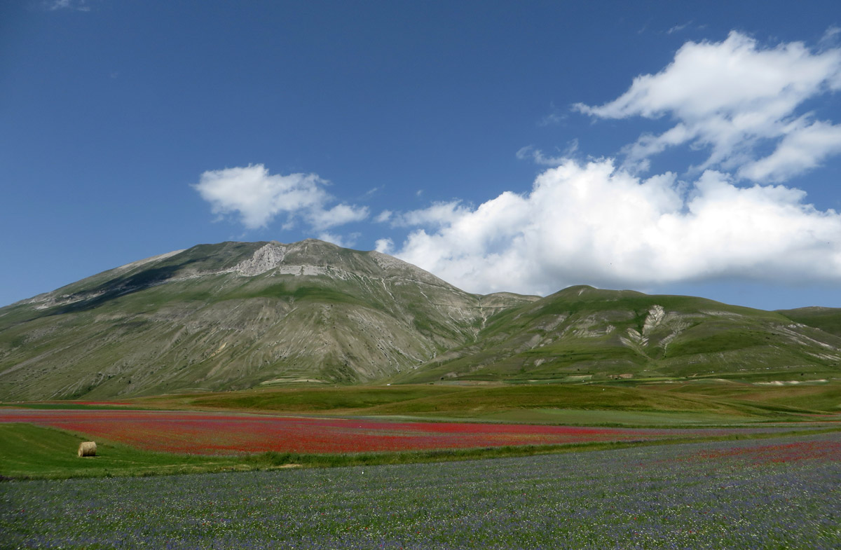 castelluccio-14-07-2018-534