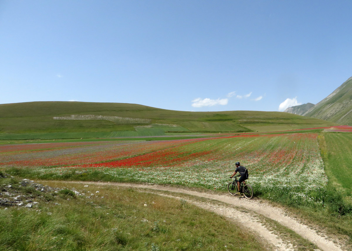 castelluccio-14-07-2018-542