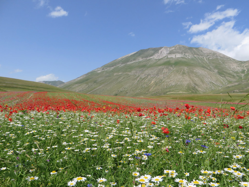 castelluccio-14-07-2018-545