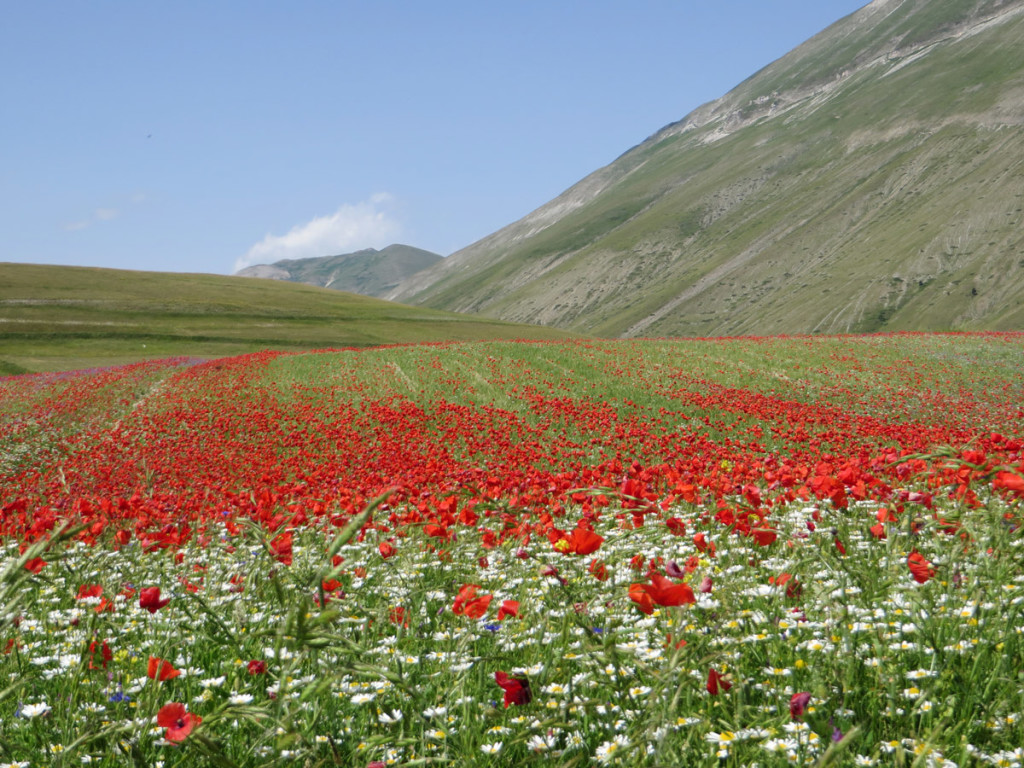 castelluccio-14-07-2018-549