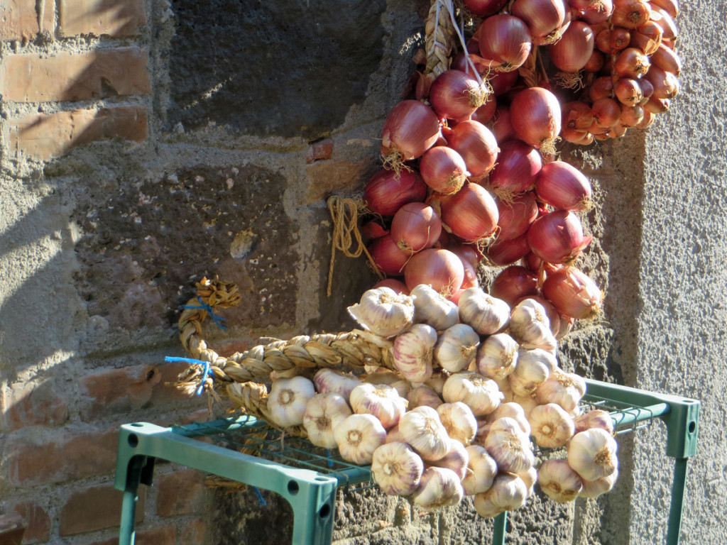 TOSCANA-2018-1003