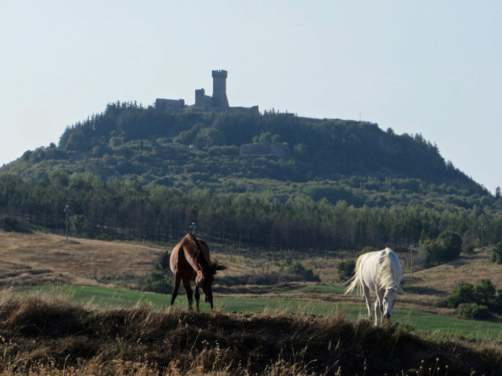 TOSCANA-2018-1076