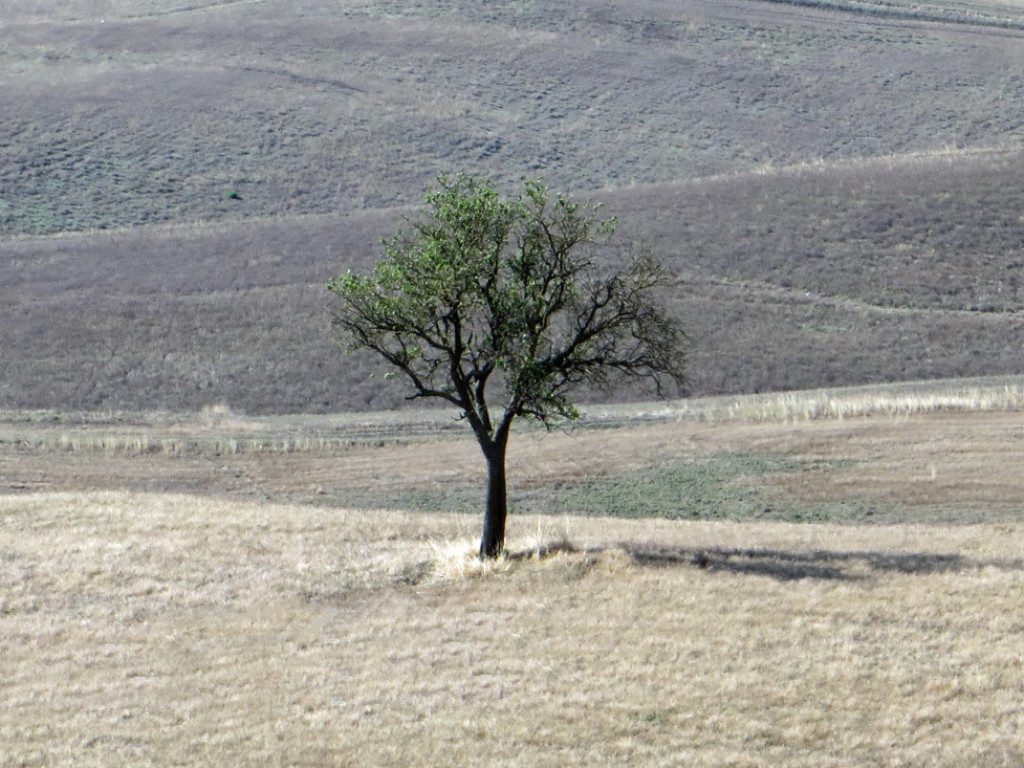 TOSCANA-2018-142