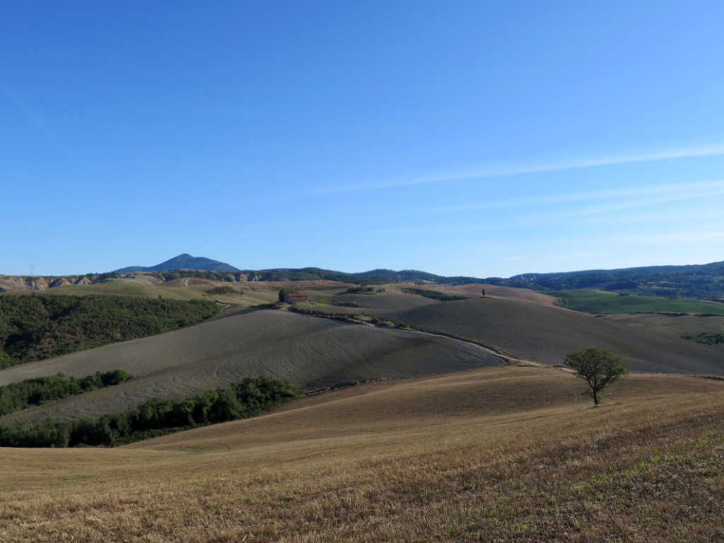 TOSCANA-2018-610