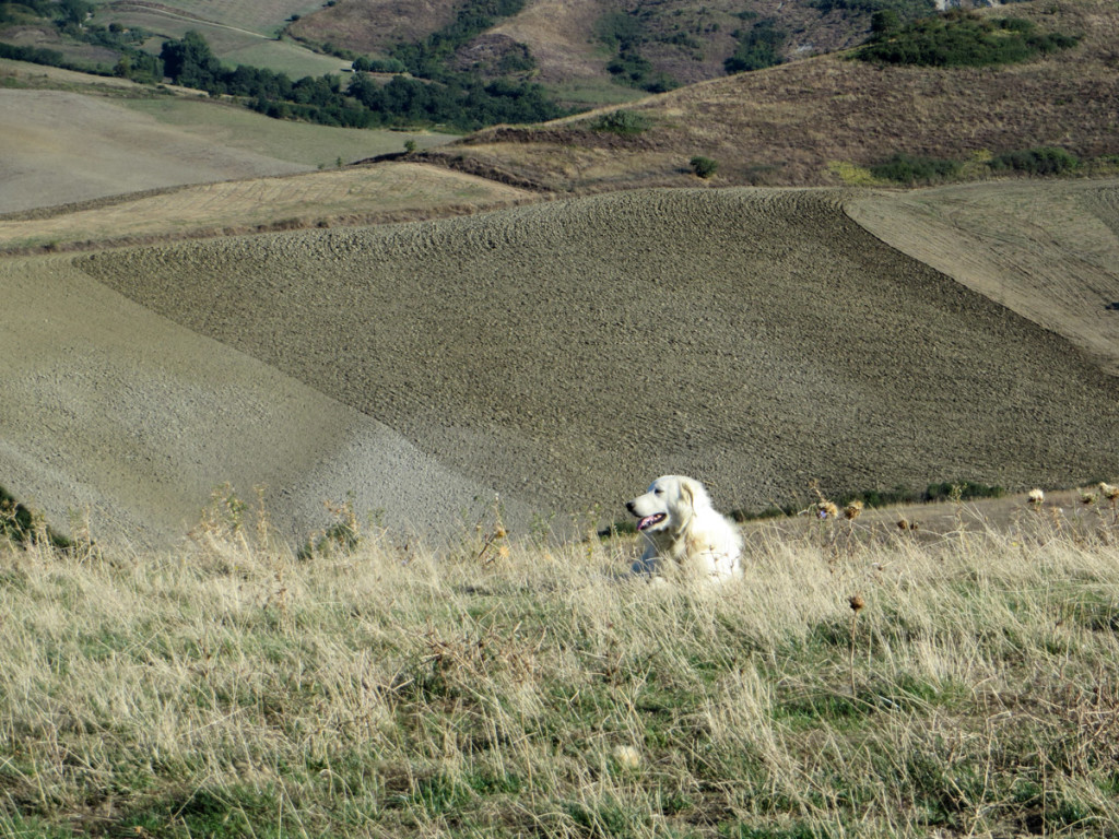 TOSCANA-2018-720