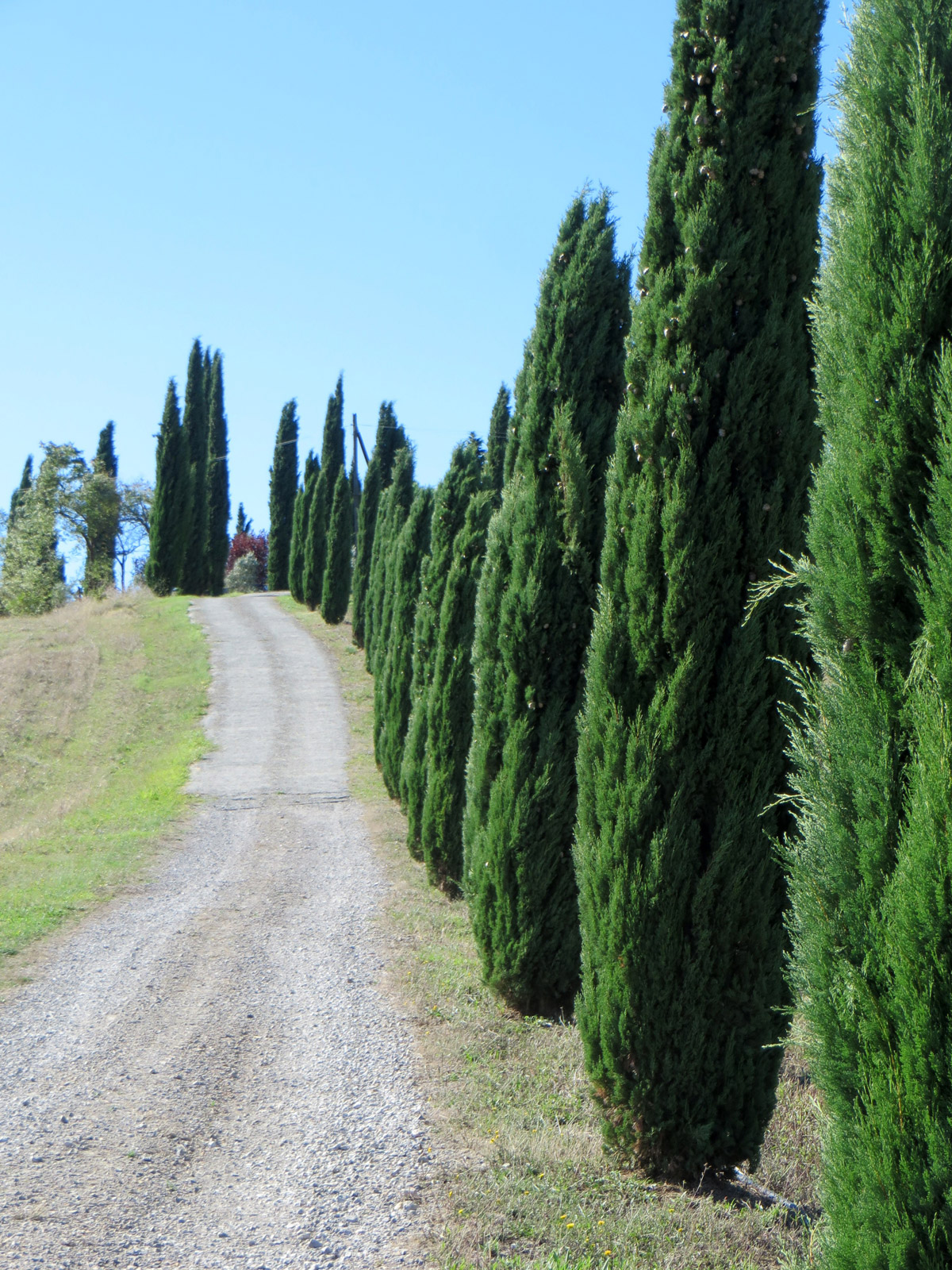 TOSCANA-2018-763