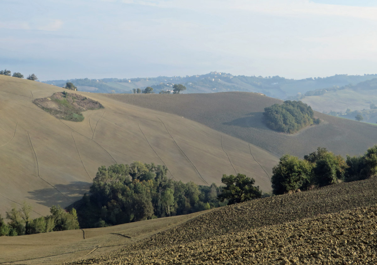 SAN-GINESIO-21-10-2018-079