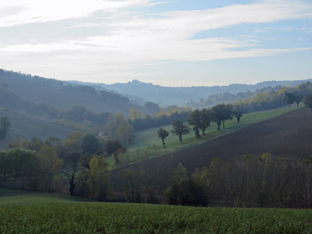 SAN-GINESIO-21-10-2018-133