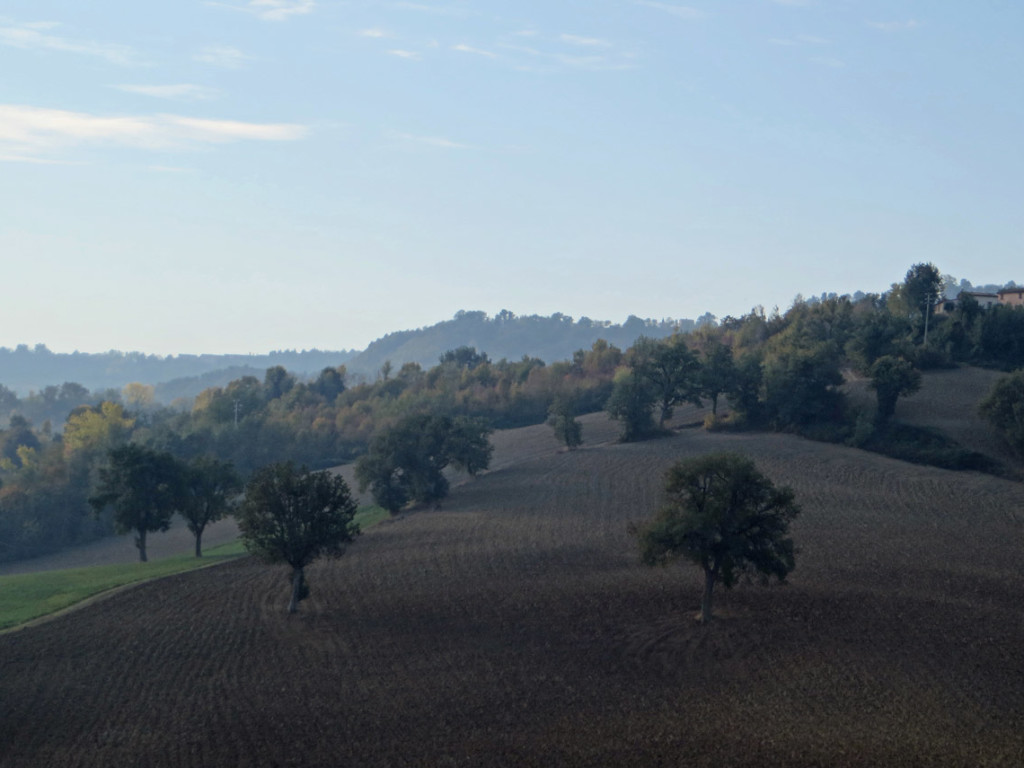 SAN-GINESIO-21-10-2018-135