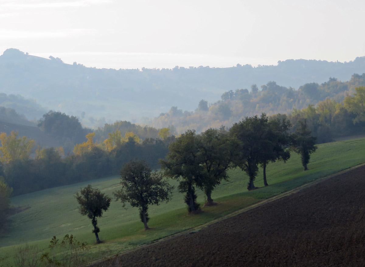 SAN-GINESIO-21-10-2018-137