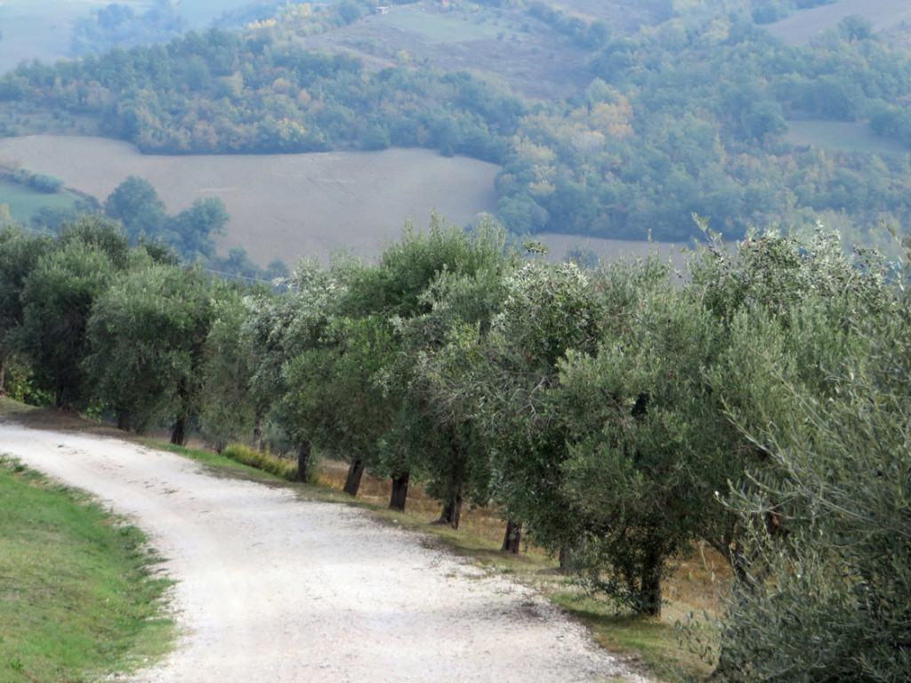 SAN-GINESIO-21-10-2018-252