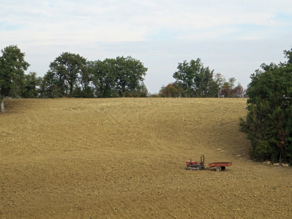 SAN-GINESIO-21-10-2018-264