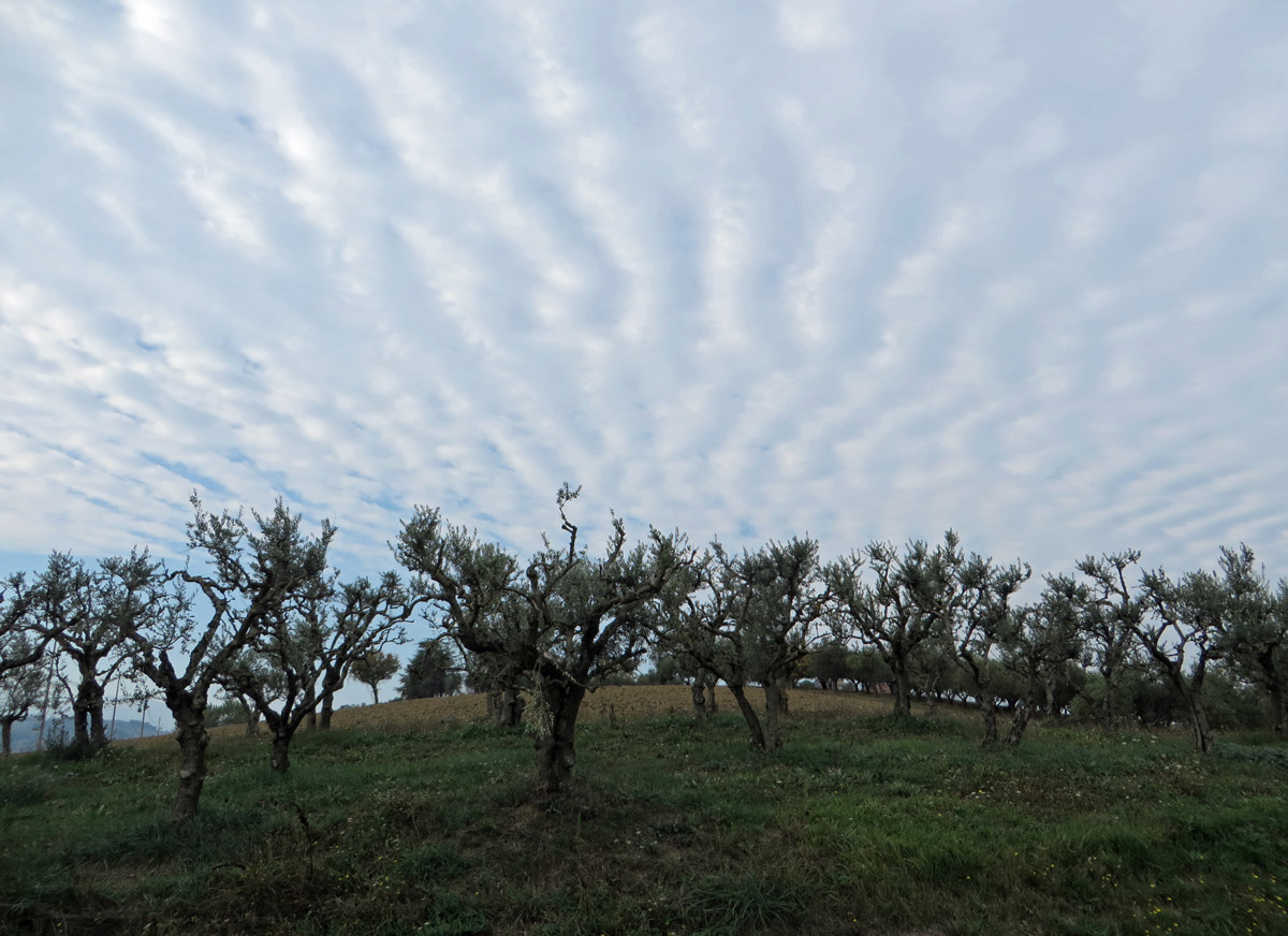 SAN-GINESIO-21-10-2018-270