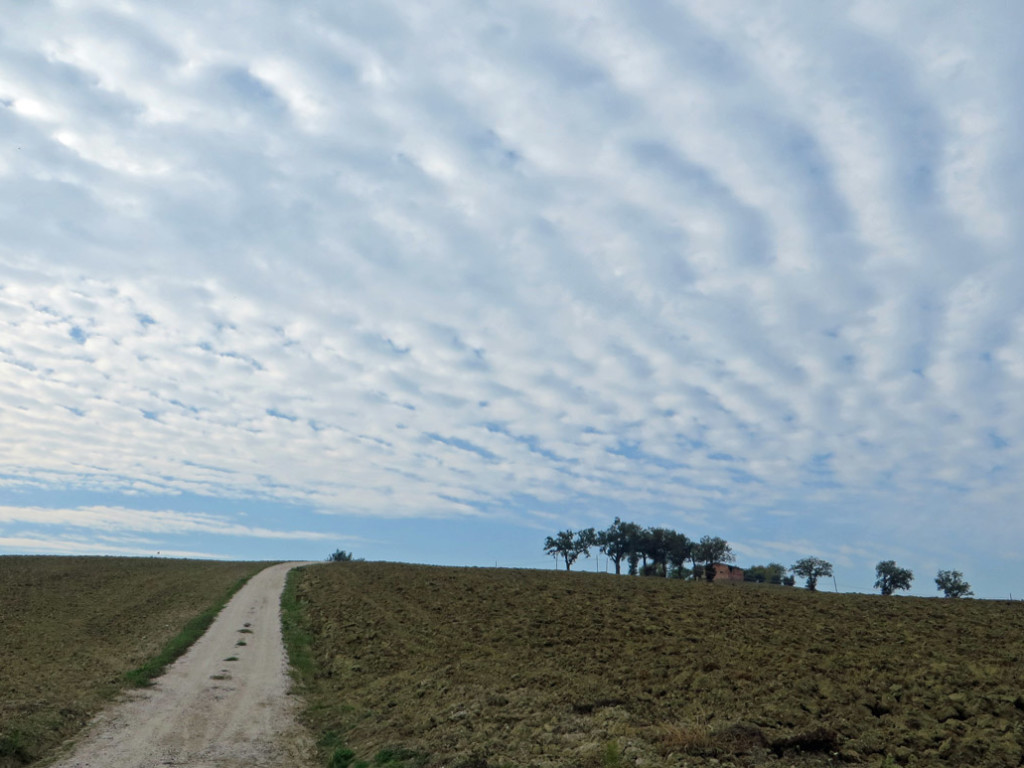 SAN-GINESIO-21-10-2018-271