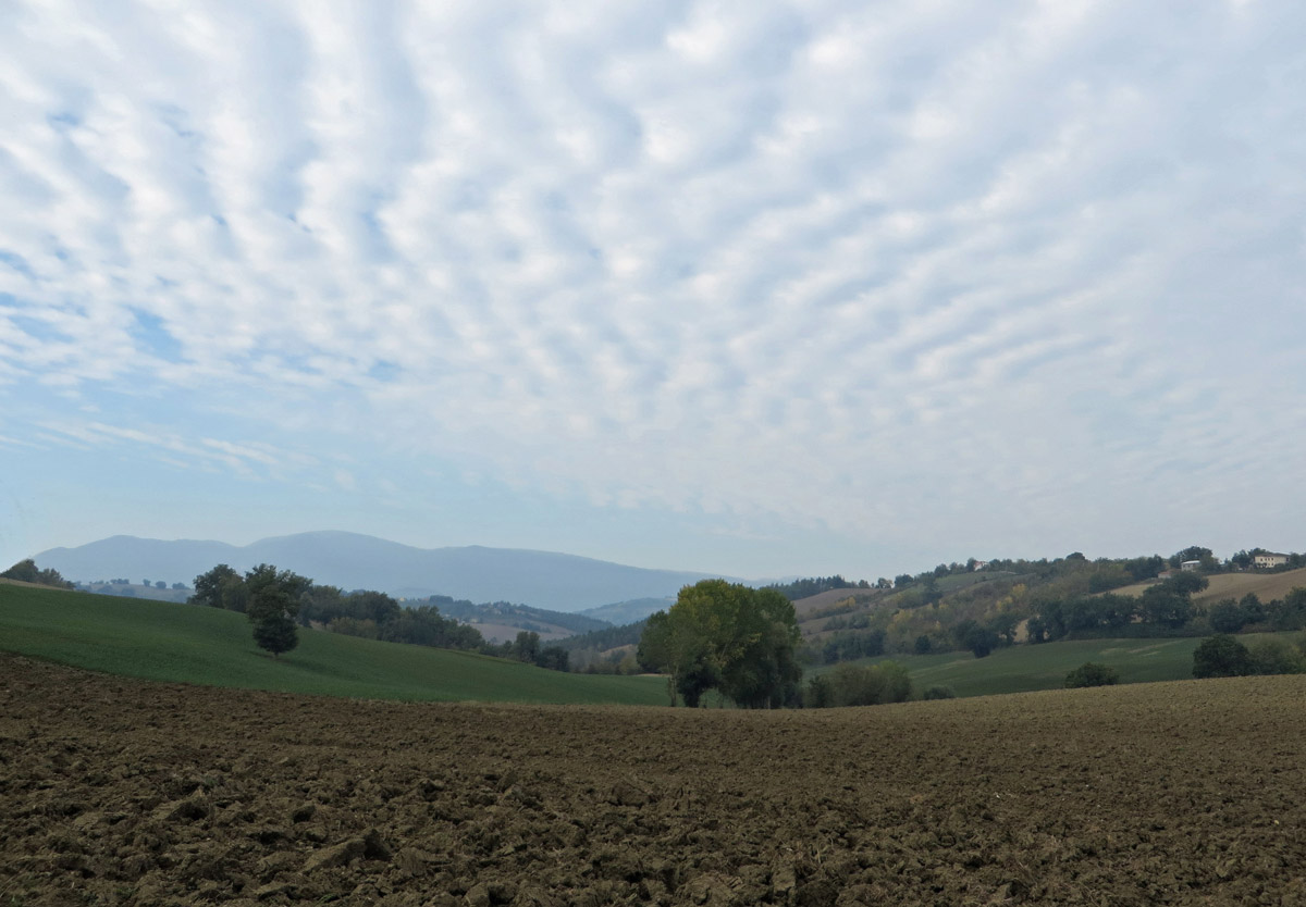 SAN-GINESIO-21-10-2018-281