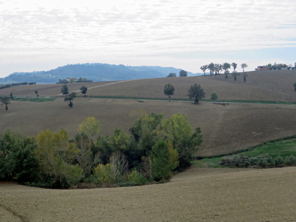 SAN-GINESIO-21-10-2018-297