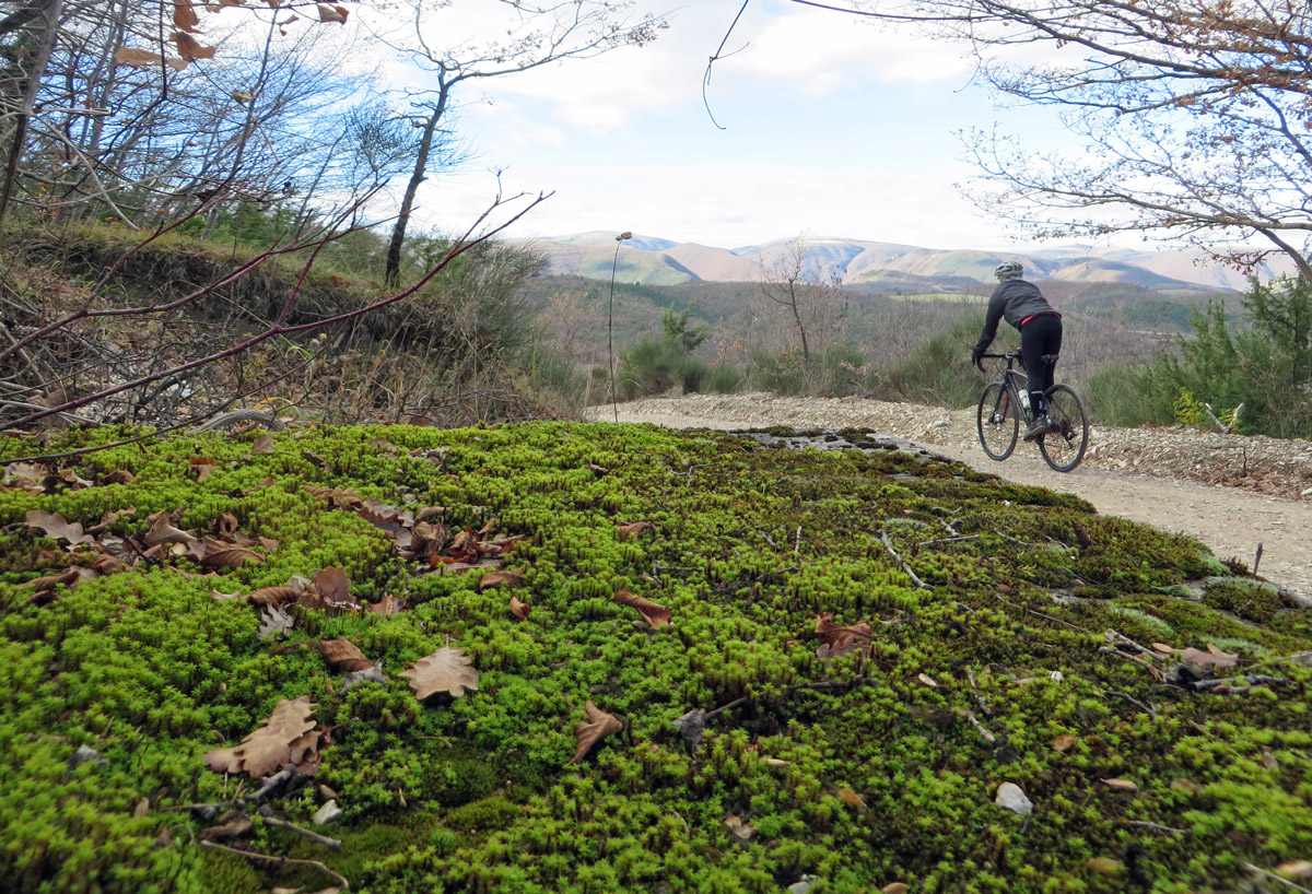 fiordimonte-09-12-2018-160