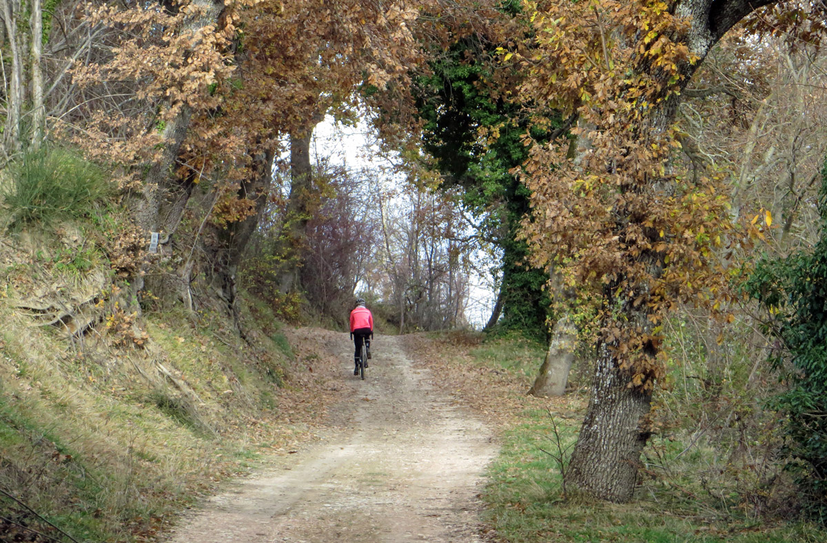 fiordimonte-09-12-2018-364