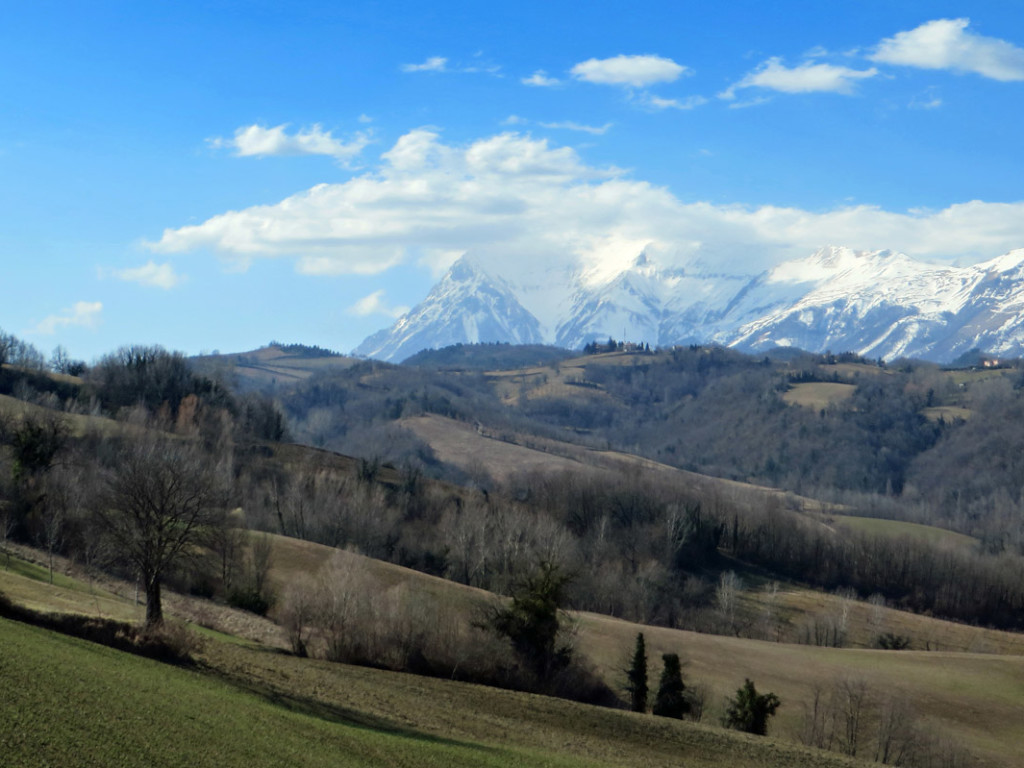 MONTEMONACO--23-02-2019-074