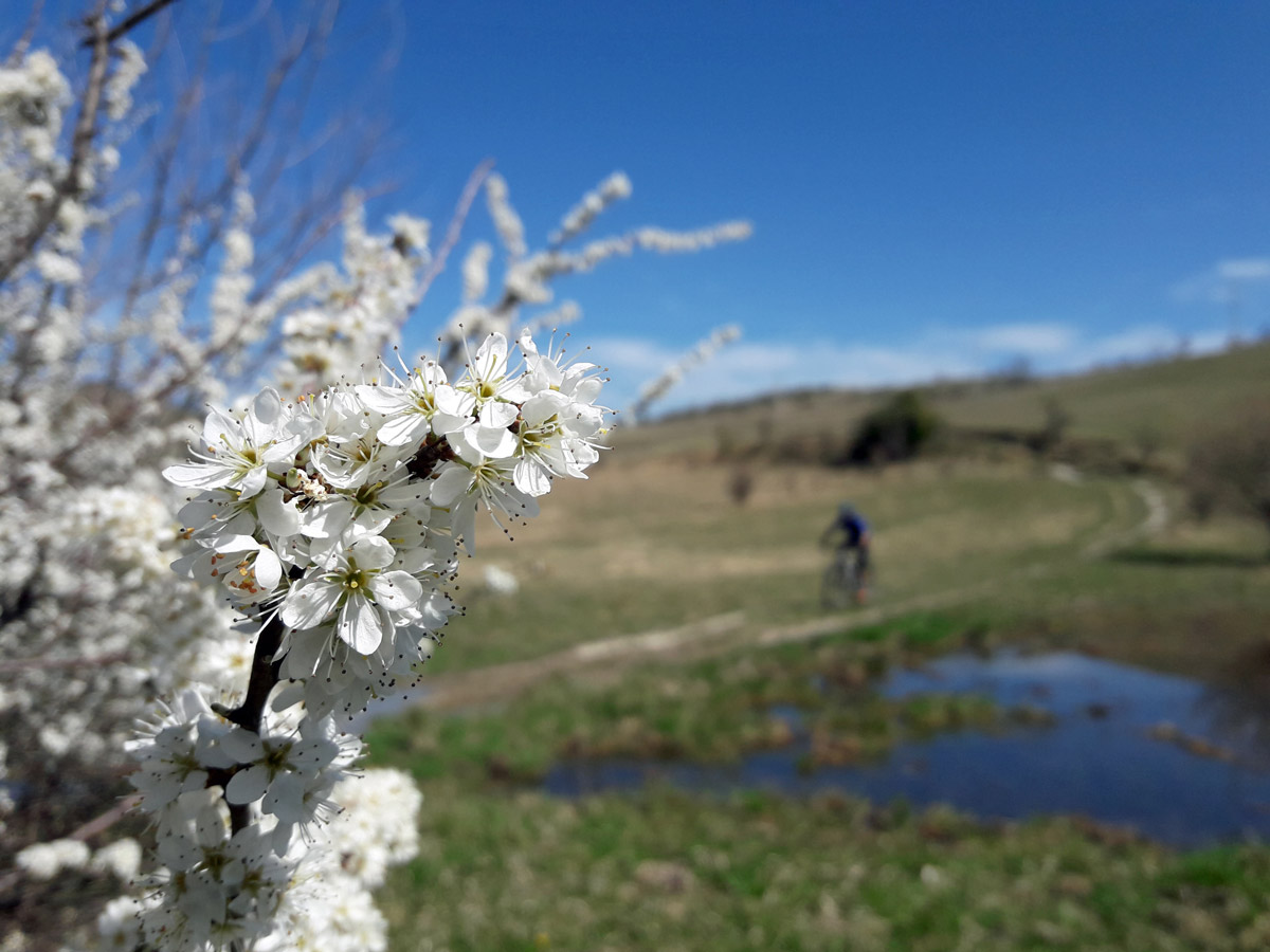 20190330_114150(0)