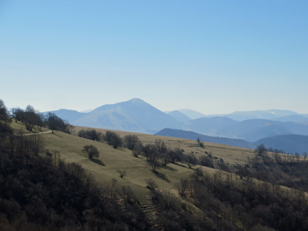 MONTE-GEMMO-31-03-2019-197