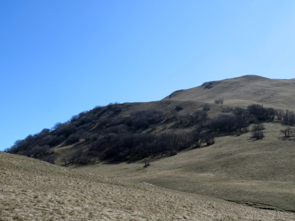 MONTE-GEMMO-31-03-2019-202